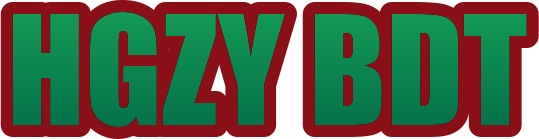 hgzy bdt